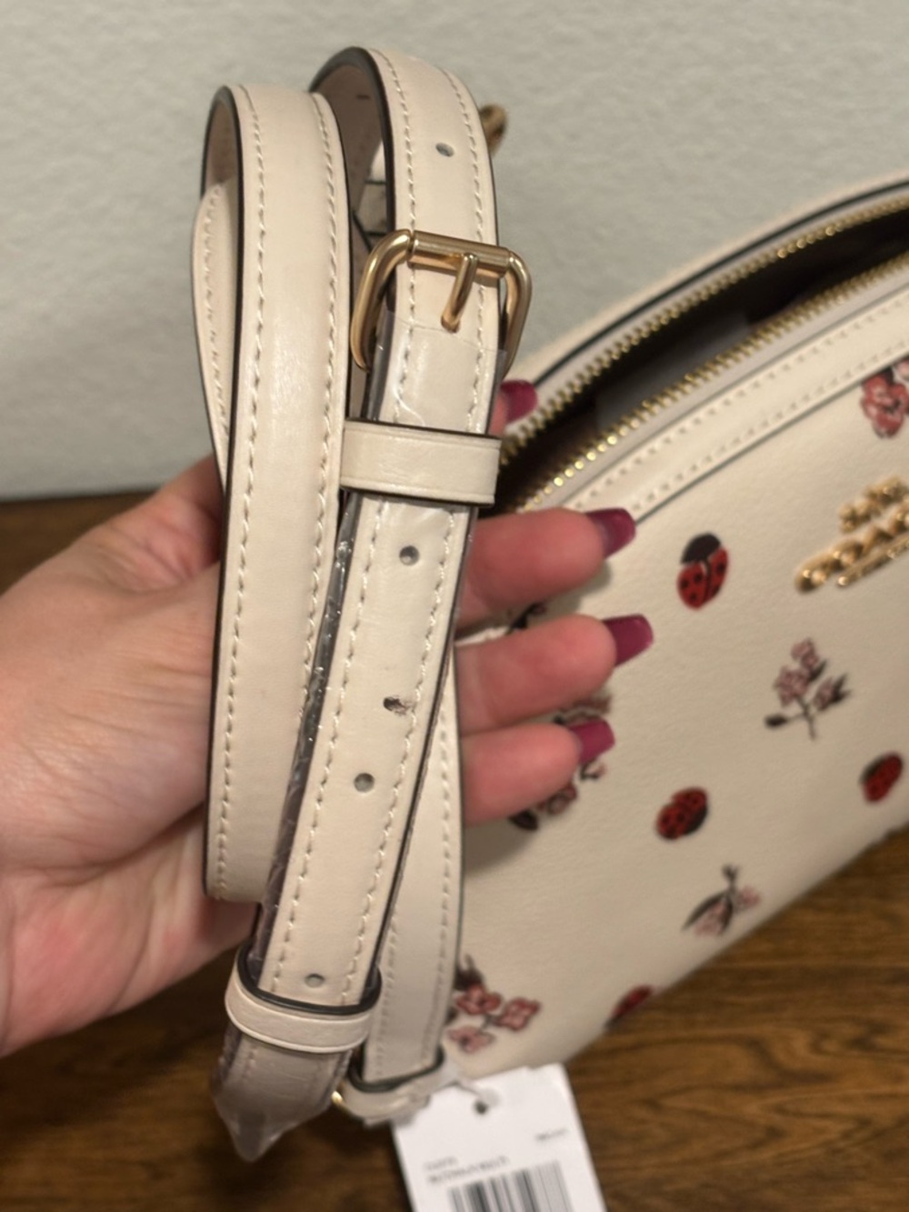 Coach Floral & Ladybug Print Crossbody Bag - Cream, Red, Pink - Picture 10 of 15